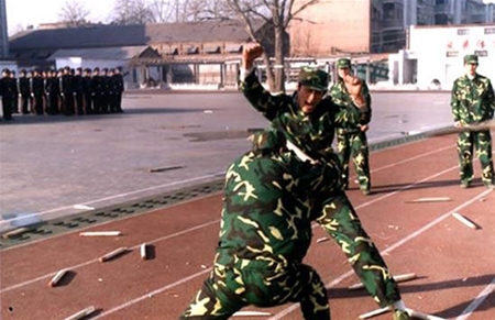 特种保安服务